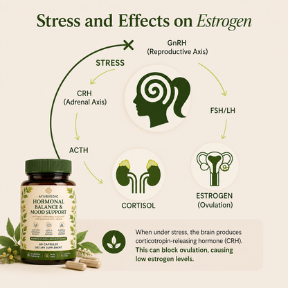 HORMONAL BALANCE & MOOD SUPPORT