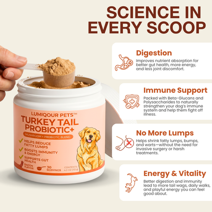 Turkey Tail Probiotic