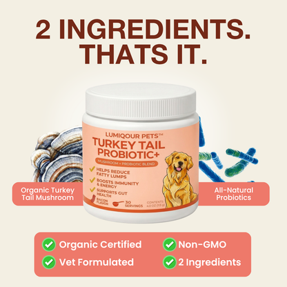 Turkey Tail Probiotic